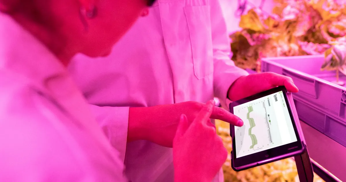 Modern digital dashboard with AI-powered food safety analytics and predictive monitoring visualizations